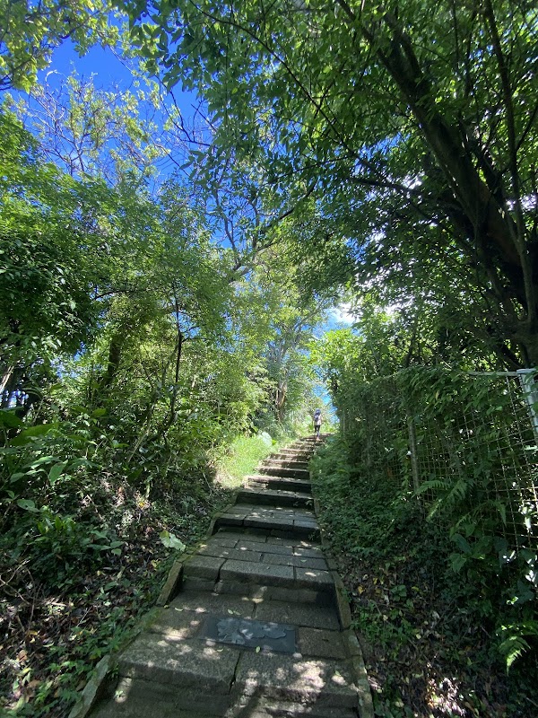Thumb Lookout Mountain 4