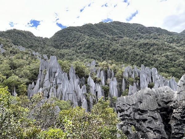 Gunung Mulu National Park