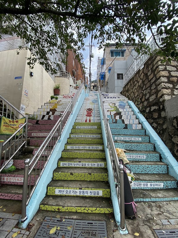 망양벚꽃길 3