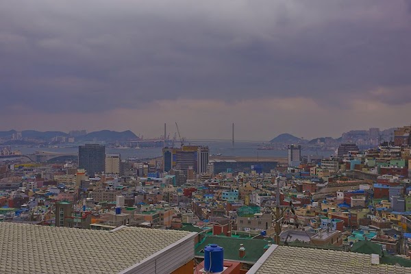 망양벚꽃길 2