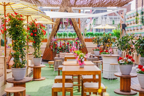 Terrasse Ciel Rose
