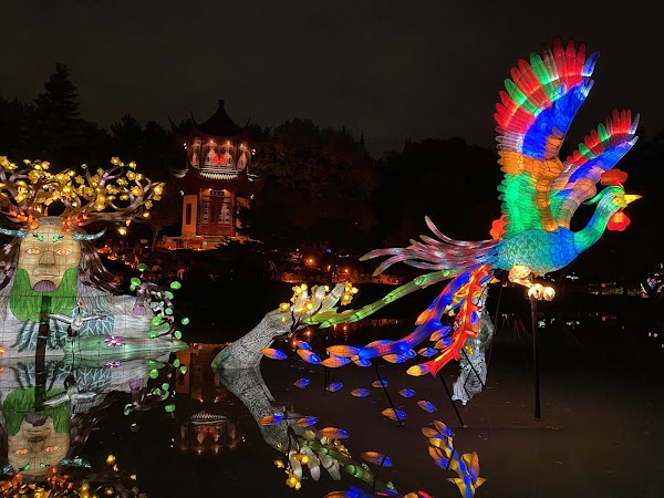 Gardens of Light