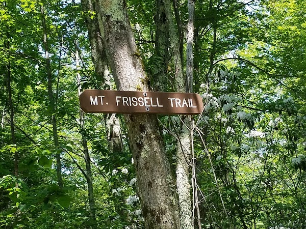 Mt Frissell Trailhead