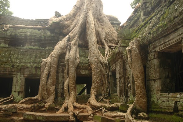 Prohm Kel Temple 4