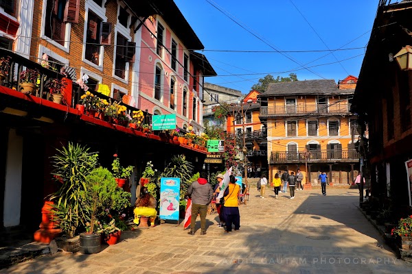 Bandipur 5