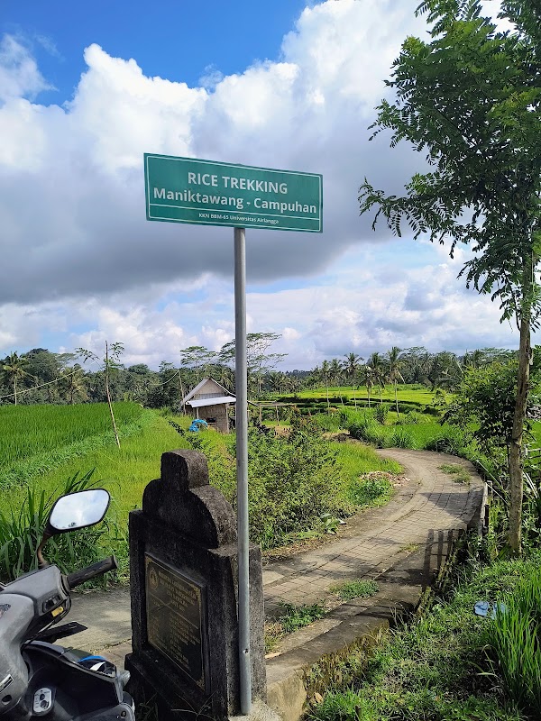 Manik Tawang riceterrace