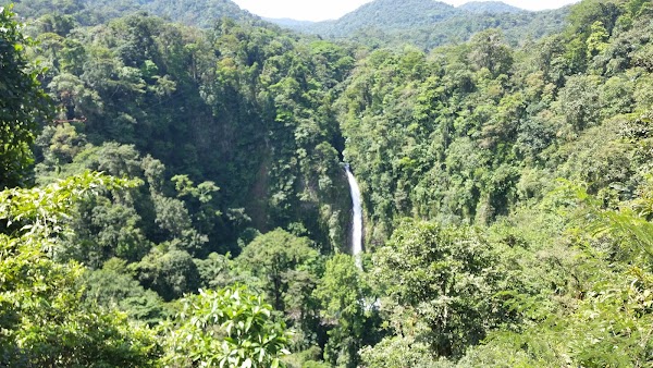 La Fortuna 5
