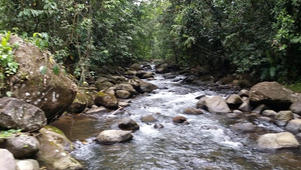 La Fortuna 2
