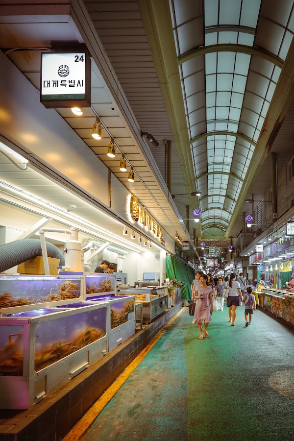 대게특별시 망원시장점 Crabcity in Mangwon Market 1