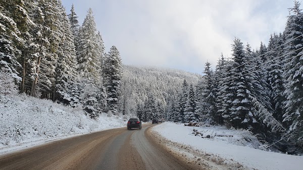 Transrarăul