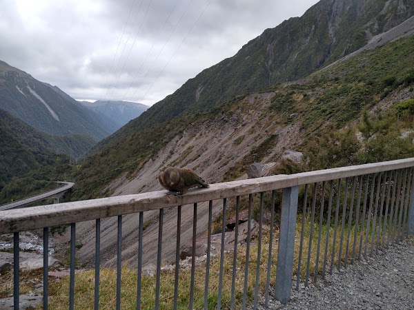 Otira Viaduct Lookout 5