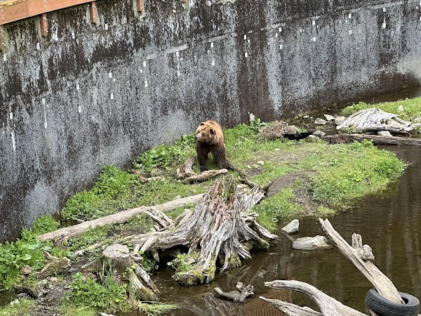 Fortress of the Bear 4