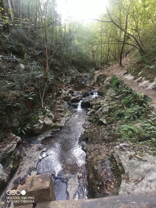 Cave of Zugarramurdi 3