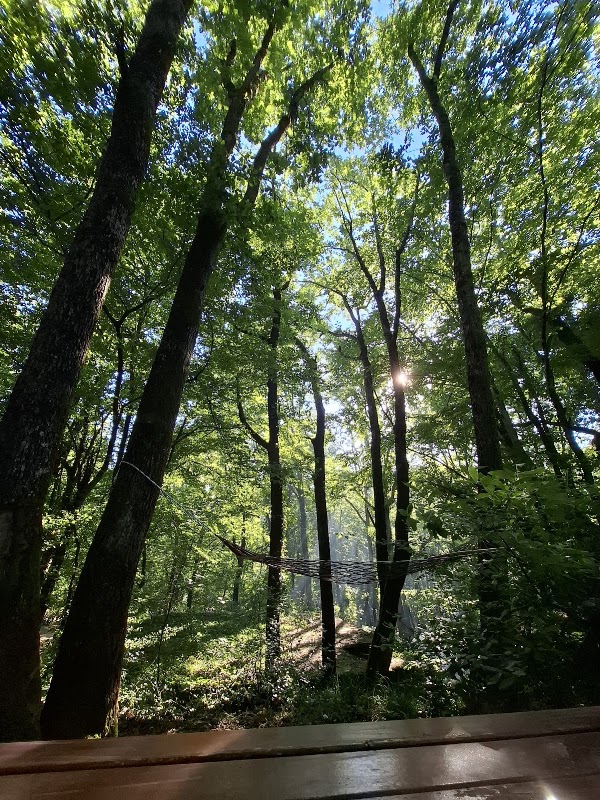Belgrad ormanı 5
