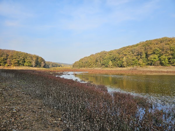 Belgrad ormanı 4