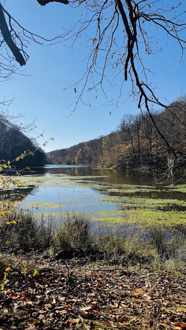 Belgrad ormanı 3
