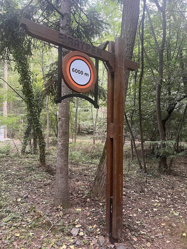 Belgrad ormanı 2