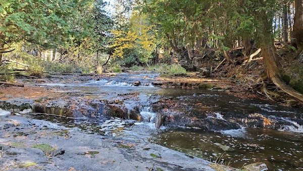 Eugenia Falls 2