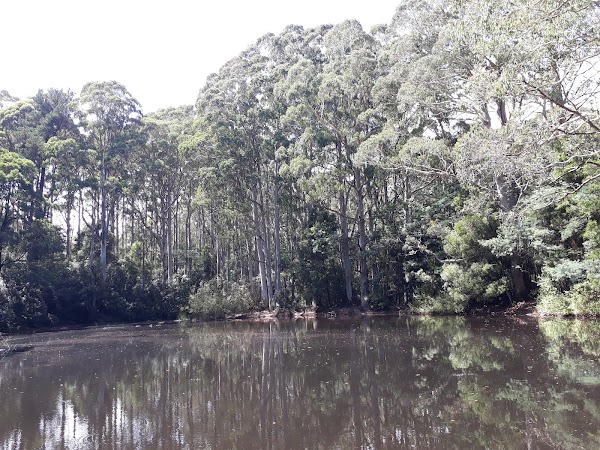 Sanatorium Lake 1