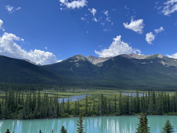 Backswamp Viewpoint