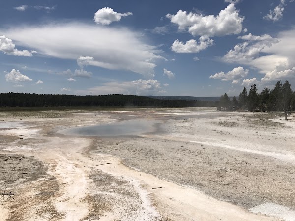 Celestine Pool