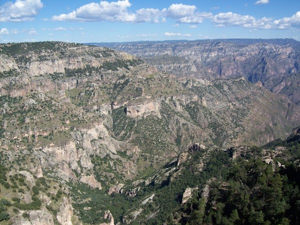 Copper Canyon 5