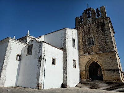 Santa Maria Cathedral 2