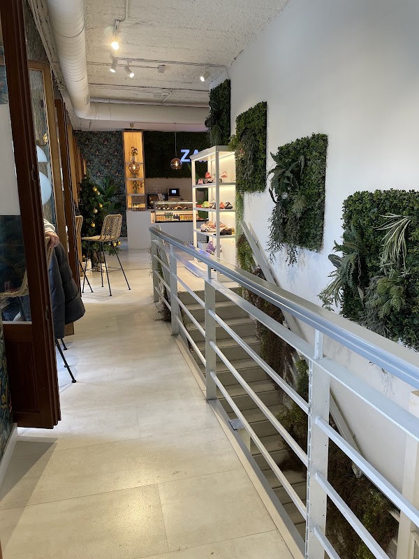 ZAPSHOP 3