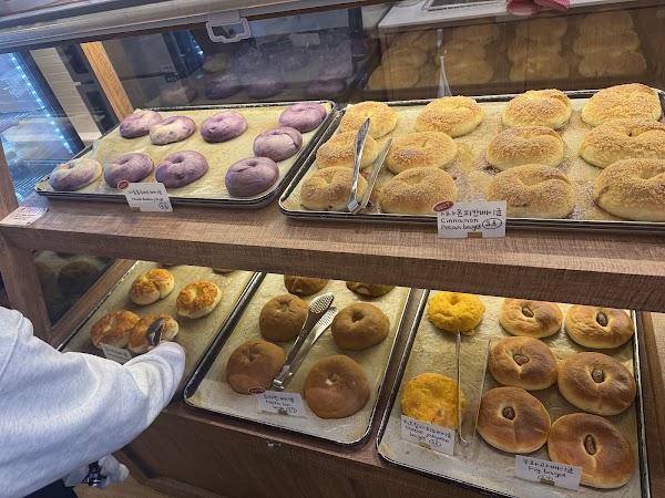 All Sunday Bagel