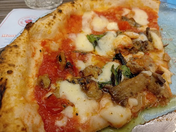 Starita 4