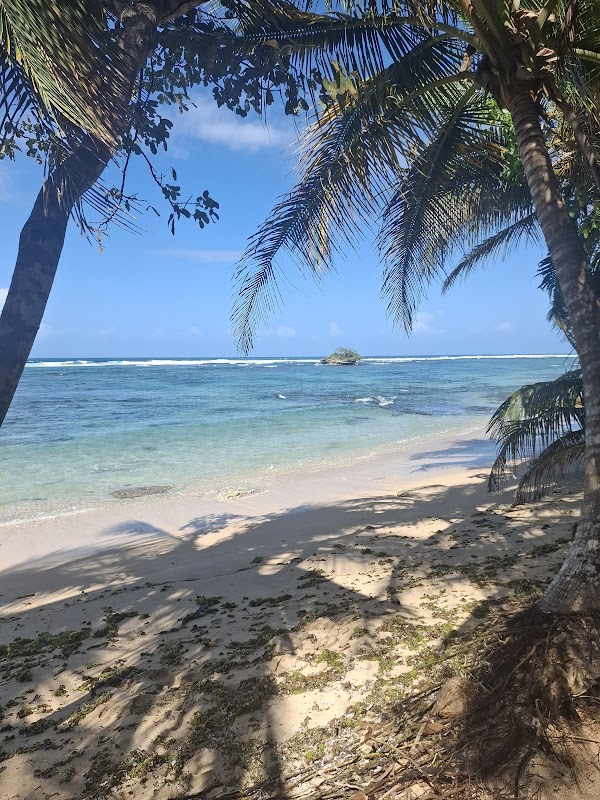 Polo Beach 1