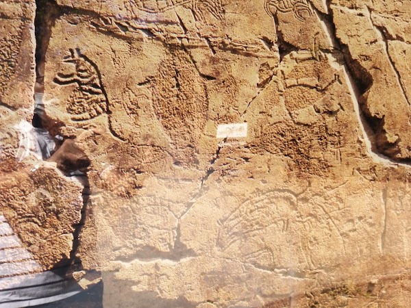 Petroglyphs of Bangudae Terrace in Daegok-ri, Ulju 4
