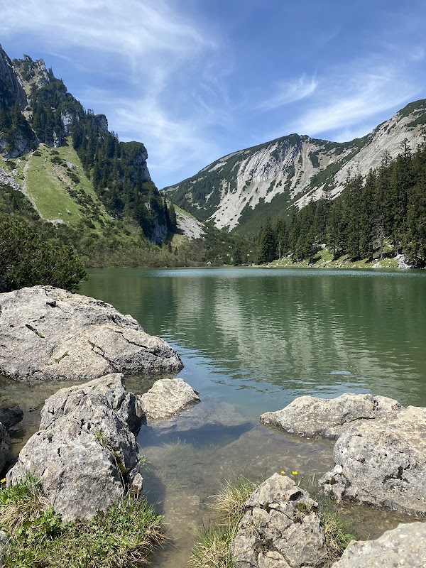 Soinsee