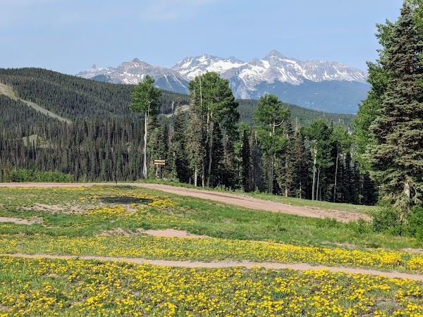 Colorado 22
