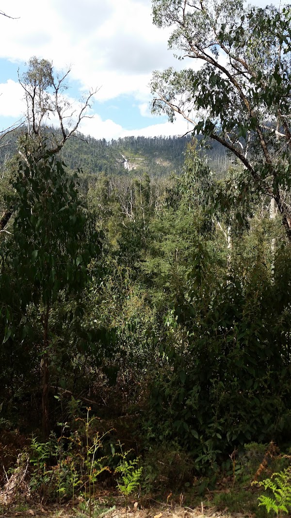 Wilhelmina Falls Walk 2
