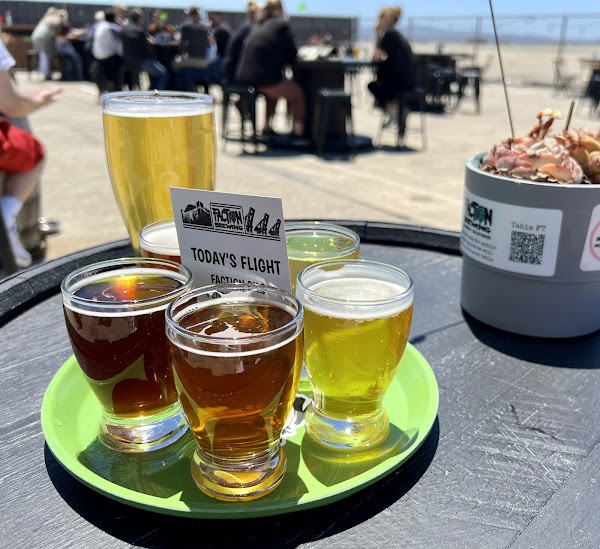 Faction Brewing 2