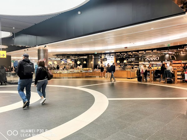 Leonardo da Vinci International Airport