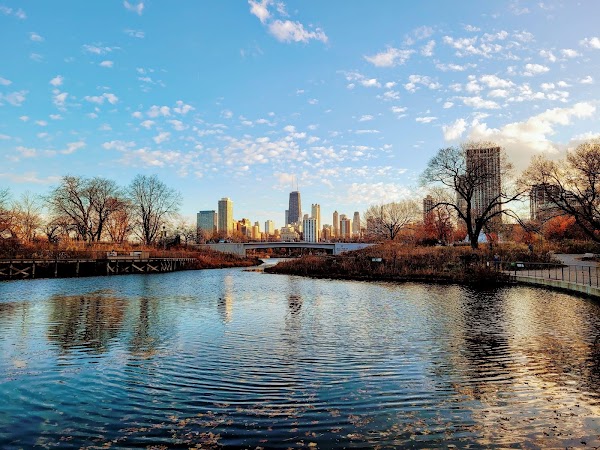 Lincoln Park 5
