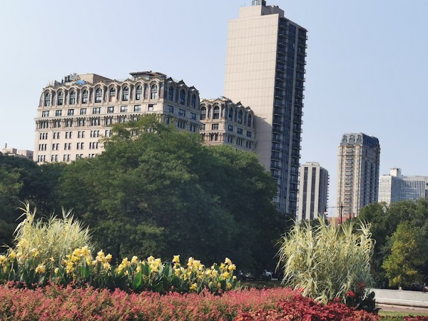 Lincoln Park 3