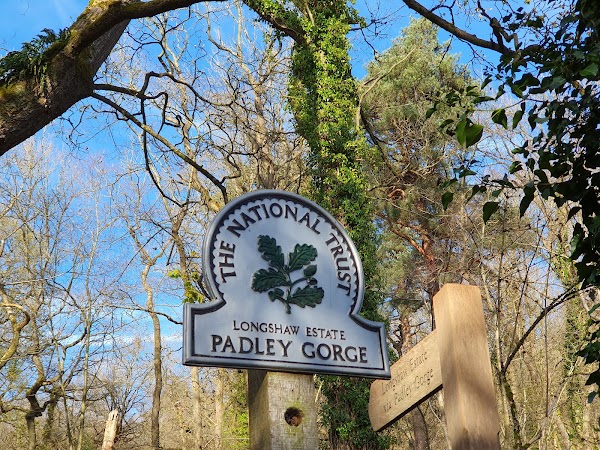 National Trust Padley Gorge 5