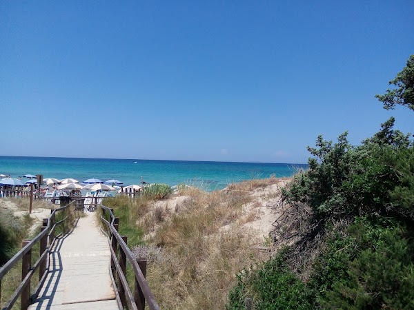 Lido Bosco Verde 5