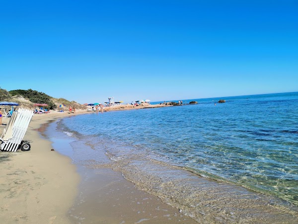 Lido Bosco Verde 4