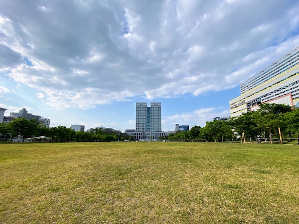 Daejeon Metropolitan City Hall 2