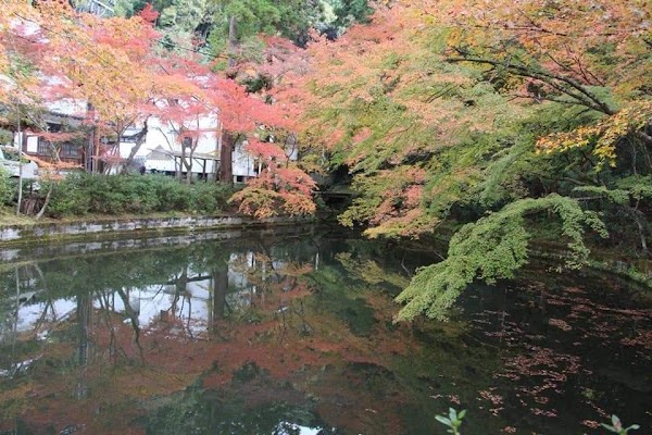 Kiyomizu 4