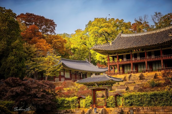 Changdeokgung Secret Garden 5