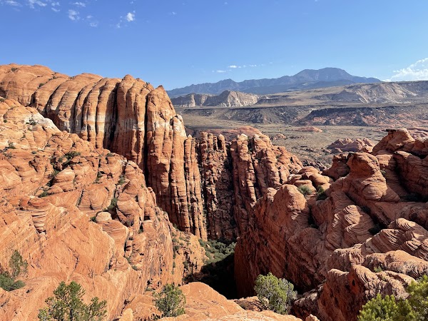 Red Cliffs National Conservation Area 5