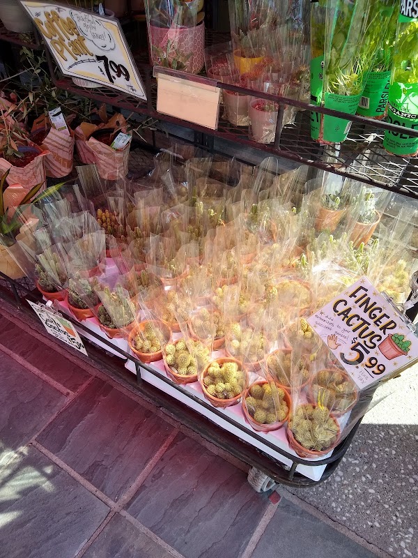 Trader Joe's 3