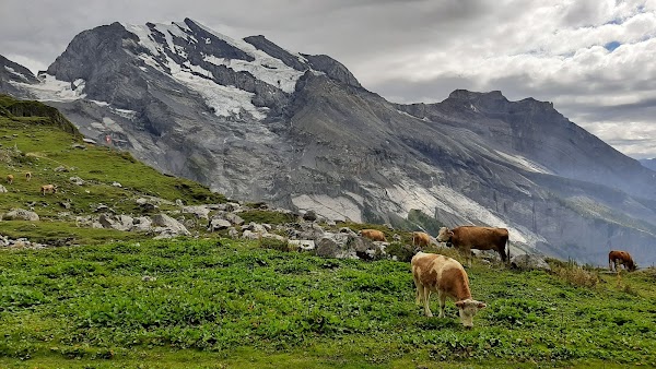 Suisse 5
