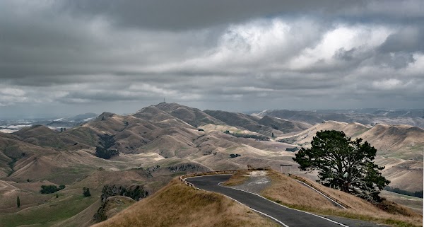 Te Mata Peak Road 3