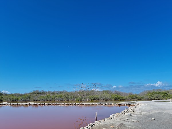 Isla Cabra 4